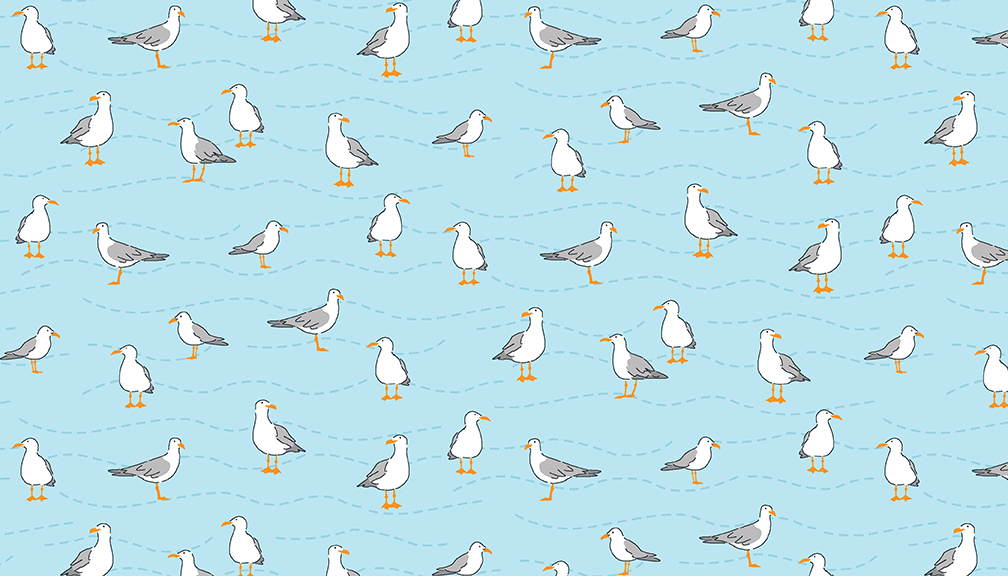 2083_B_seagulls